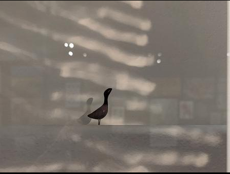 Bird silhouette with light and shadow patterns
