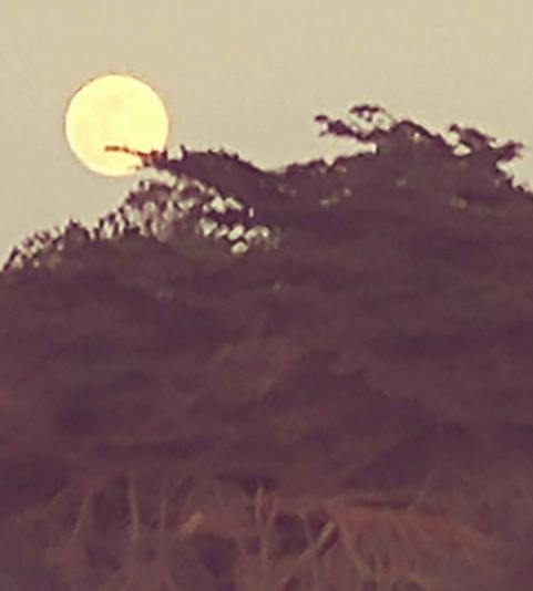 Full moon rising over a silhouetted hillside